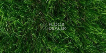 Искусственная трава Тропикана 50мм Тропикана 50мм фото 1 | FLOORDEALER